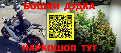 ПСИЛОЦИБИНОВЫЕ ГРИБЫ Бердск