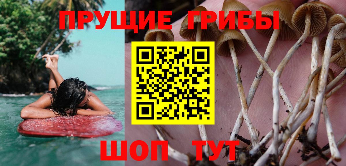 Псилоцибиновые грибы мухоморы Белая Калитва