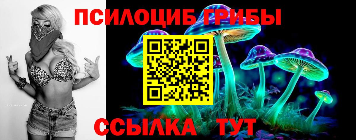 Белая Калитва  Псилоцибиновые грибы мицелий  Вход с VPN  Галлюциногенные грибы Psilocybine cubensis 